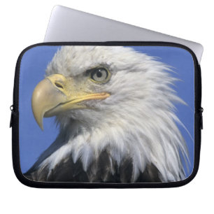 Capa Para Notebook Bald Eagle (Haliaeetus leucocephalus), selvagem,