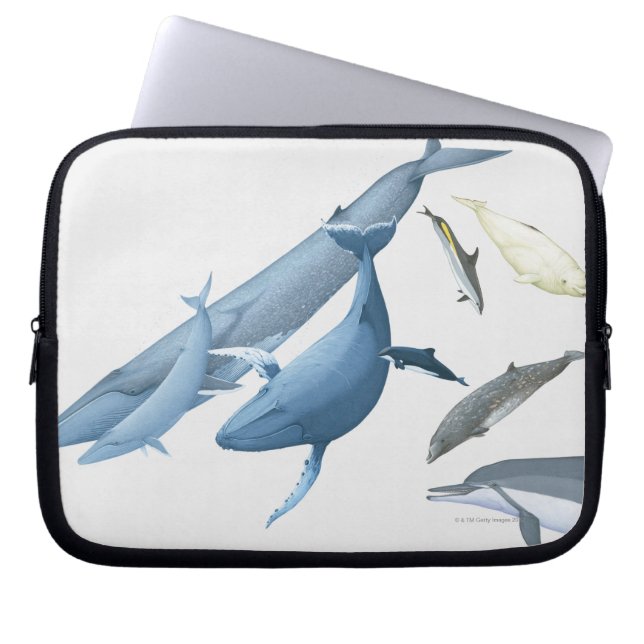 Capa Para Notebook Baleias (Frente)