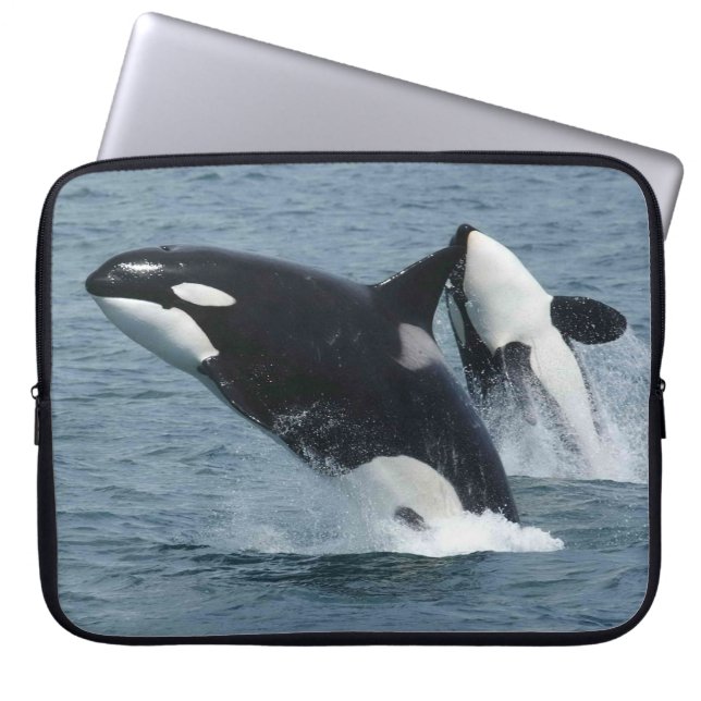 Capa Para Notebook Baleias Assassinas de Orca Quebrando (Frente)