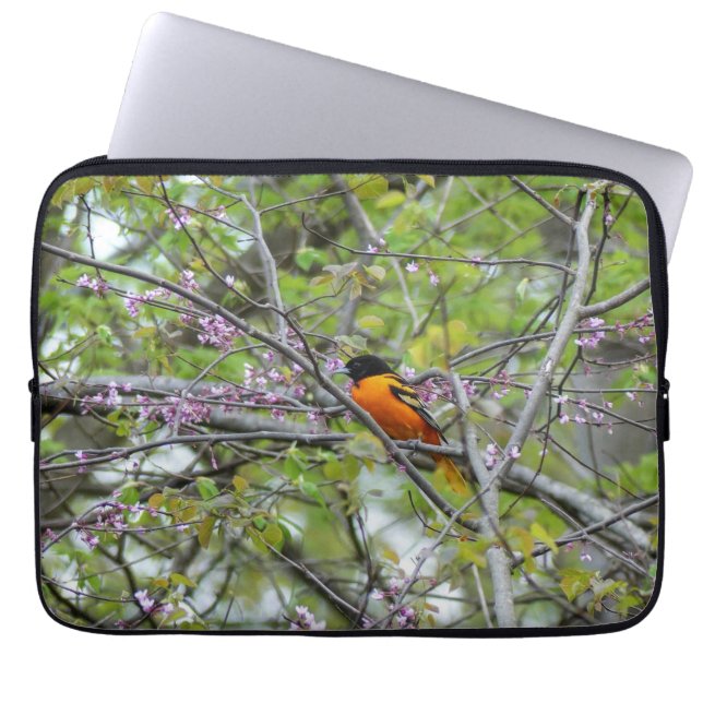 Capa Para Notebook Baltimore Oriole (Frente)