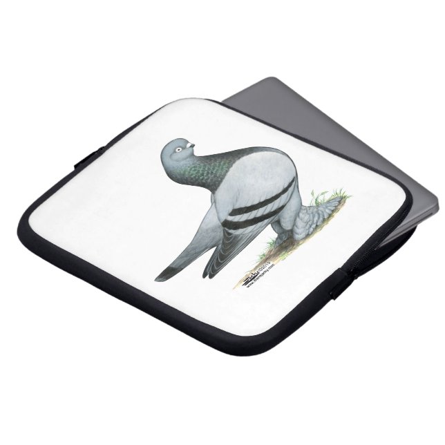 Capa Para Notebook Bar Azul Berliner Tumbler Pigeon (Frente Topo)