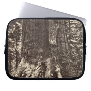 Capa Para Notebook Base do gigante do urso, 'do livro de Yosemite
