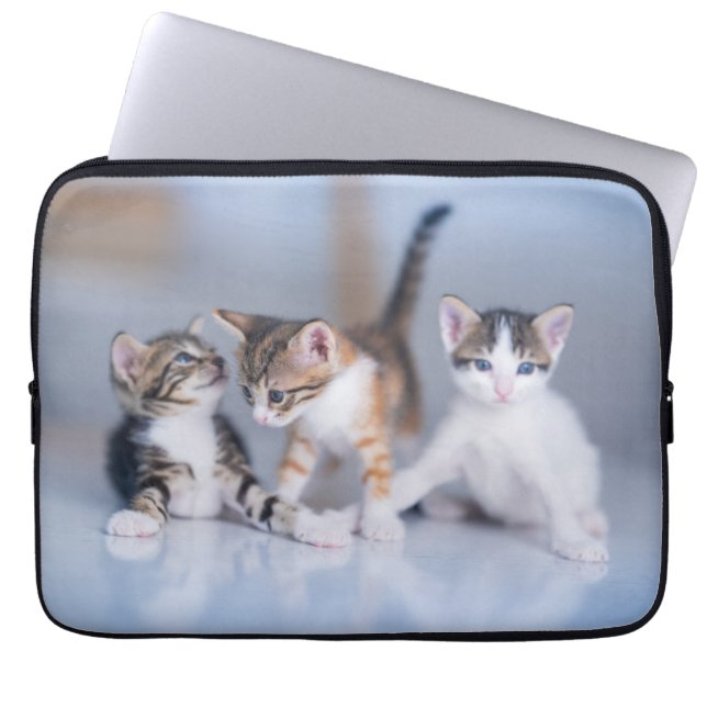 Capa Para Notebook Bebês Mais Pobres | 3 Gatinhos Tabby (Frente)