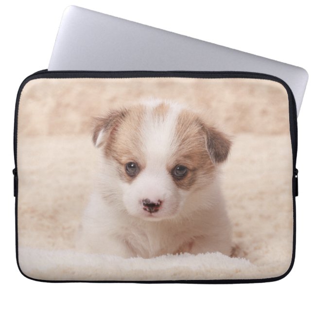 Capa Para Notebook Bebês Mais Pobres | Baby Corgi (Frente)