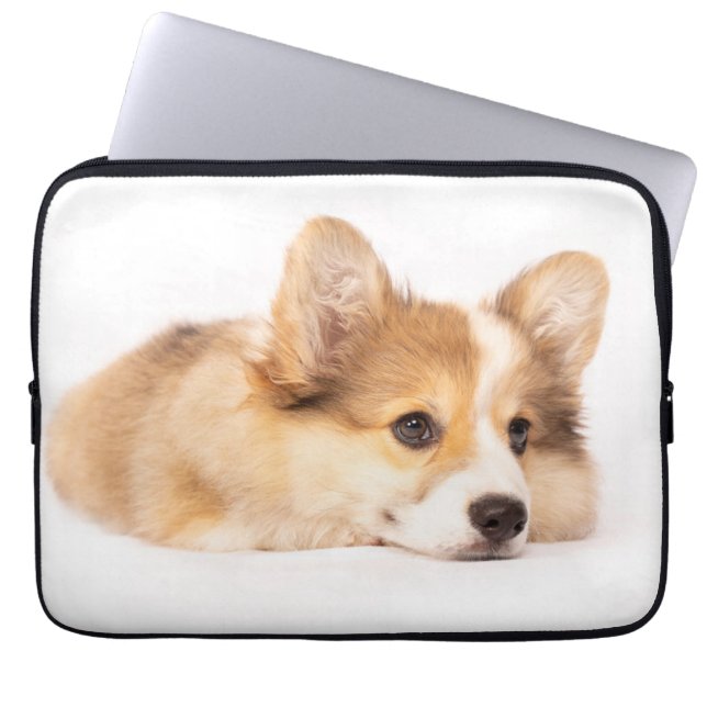 Capa Para Notebook Bebês Mais Pobres | Baby Corgi Puppy Portraje (Frente)