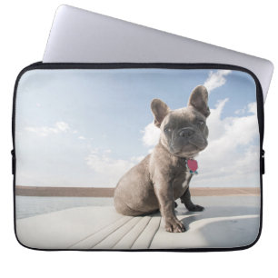 Capa Para Notebook Bebês Mais Pobres   Barco francês Bulldog