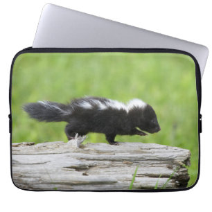 Capa Para Notebook Bebês Mais Pobres   Bebê Skunk