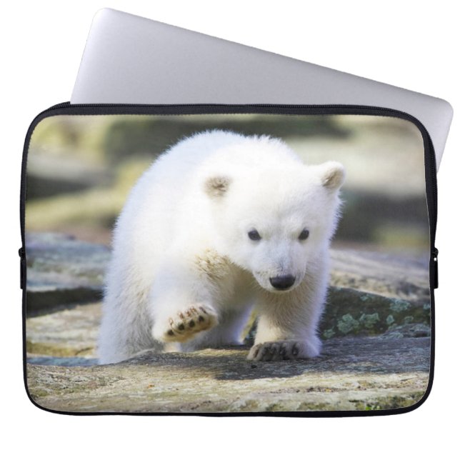 Capa Para Notebook Bebês Mais Pobres | Bebê-Urso Polar (Frente)