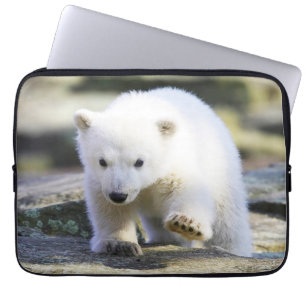Capa Para Notebook Bebês Mais Pobres   Bebê-Urso Polar