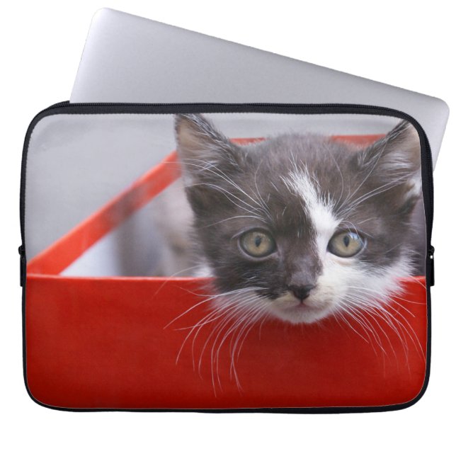 Capa Para Notebook Bebês Mais Pobres | Black & White Kitten (Frente)