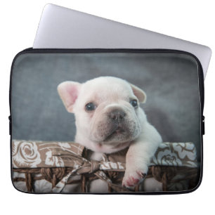 Capa Para Notebook Bebês Mais Pobres Buldogue francês