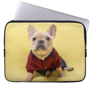 Capa Para Notebook Bebês Mais Pobres Buldogue francês vestido