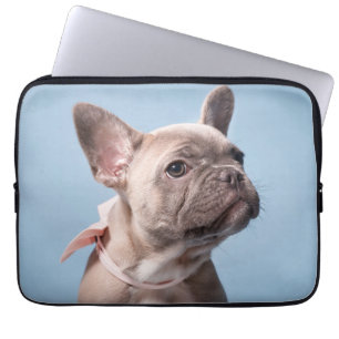 Capa Para Notebook Bebês Mais Pobres   Bulldog Arco Rosa Francês