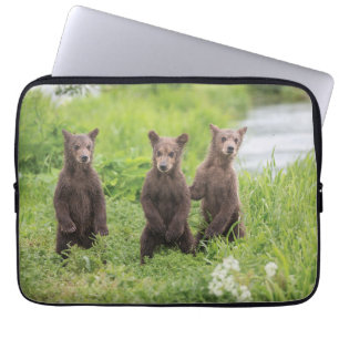 Capa Para Notebook Bebês Mais Pobres Camchatka Brown Bear Cubs