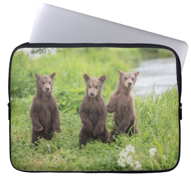 Capa Para Notebook Bebês Mais Pobres | Camchatka Brown Bear Cubs (Frente)