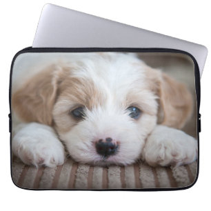 Capa Para Notebook Bebês Mais Pobres Cavashon Puppy