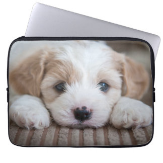 Capa Para Notebook Bebês Mais Pobres | Cavashon Puppy