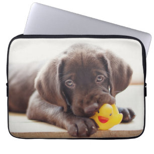 Capa Para Notebook Bebês Mais Pobres   Chocolate Labrador Puppy