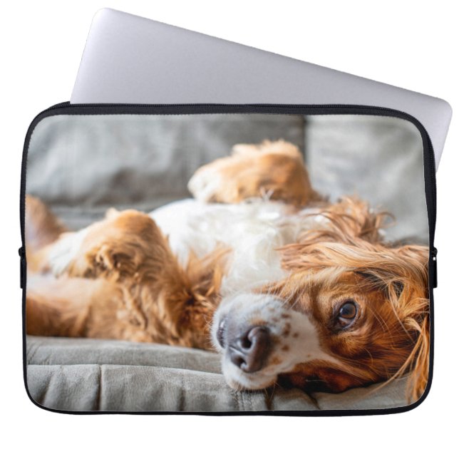 Capa Para Notebook Bebês Mais Pobres | Cocker Spaniel (Frente)