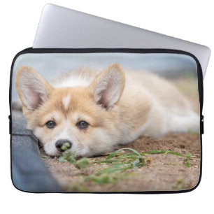 Capa Para Notebook Bebês Mais Pobres   Corgi Lay in the Yard
