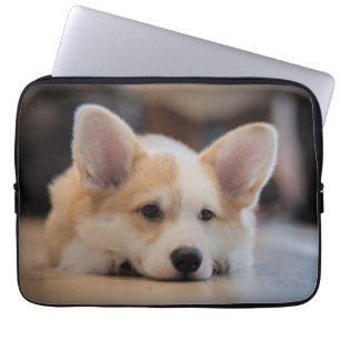 Capa Para Notebook Bebês Mais Pobres Corgi-Puppy com sono