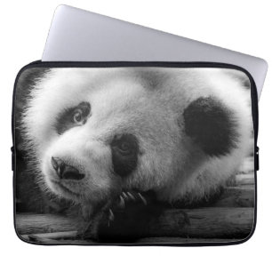 Capa Para Notebook Bebês Mais Pobres   Cubo-Urso-Panda Gigante