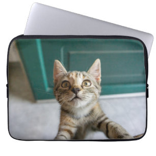 Capa Para Notebook Bebês Mais Pobres Cute Tabby Kitten
