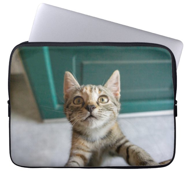 Capa Para Notebook Bebês Mais Pobres | Cute Tabby Kitten (Frente)