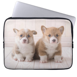 Capa Para Notebook Bebês Mais Pobres Dois Bebês De Corgão