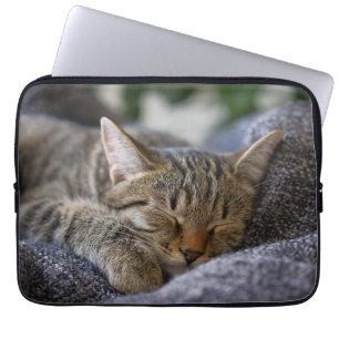 Capa Para Notebook Bebês Mais Pobres Dormir De Tabby Kitten