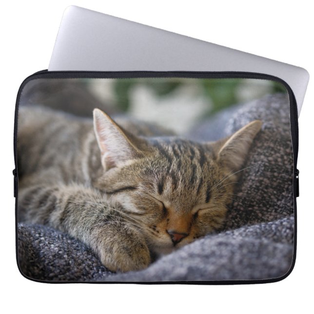 Capa Para Notebook Bebês Mais Pobres | Dormir De Tabby Kitten (Frente)