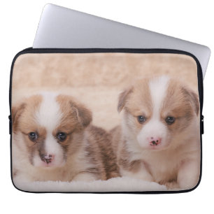Capa Para Notebook Bebês Mais Pobres Duas Estuppias De Corgi