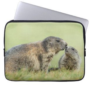 Capa Para Notebook Bebês Mais Pobres Família Marmot Alpina