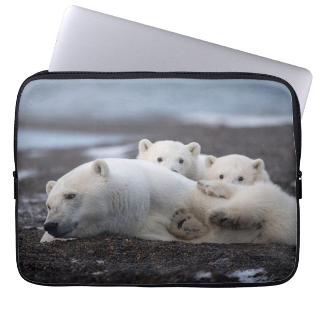 Capa Para Notebook Bebês Mais Pobres | Família Polar Bear Alaska (Frente)