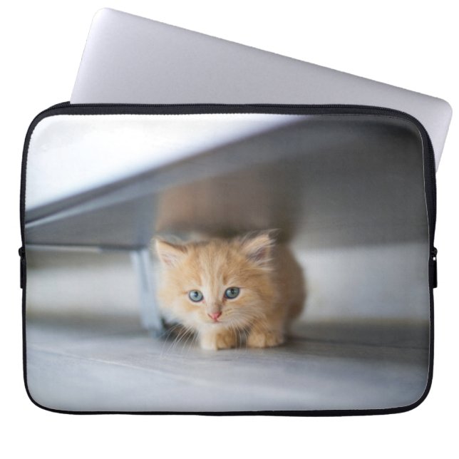 Capa Para Notebook Bebês Mais Pobres | Fluffy Orange Kitten (Frente)