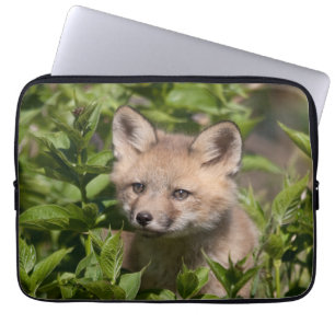 Capa Para Notebook Bebês Mais Pobres Kit Fox