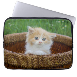 Capa Para Notebook Bebês Mais Pobres Kitten Azul