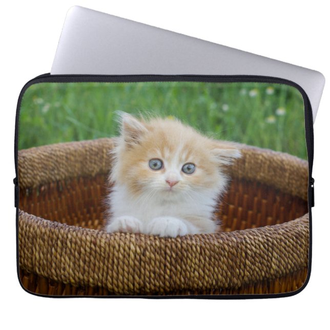 Capa Para Notebook Bebês Mais Pobres | Kitten Azul (Frente)