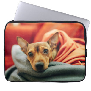 Capa Para Notebook Bebês Mais Pobres   Pinscher miniatura
