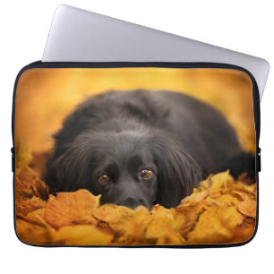 Capa Para Notebook Bebês Mais Pobres   Puppia Espanhola Negra