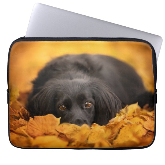 Capa Para Notebook Bebês Mais Pobres | Puppia Espanhola Negra (Frente)