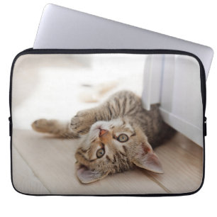 Capa Para Notebook Bebês Mais Pobres Shorthair Tabby Kitten