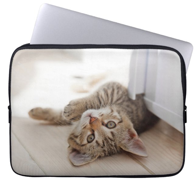 Capa Para Notebook Bebês Mais Pobres | Shorthair Tabby Kitten (Frente)