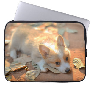 Capa Para Notebook Bebês Mais Pobres Shy Corgi