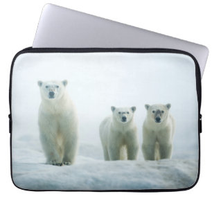 Capa Para Notebook Bebês Mais Pobres   Três Ursos Polares Jovens