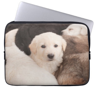 Capa Para Notebook Bebês Mais Pobres   Uma pilha de aves