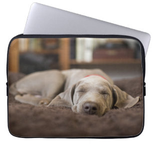 Capa Para Notebook Bebês Mais Pobres Weimaraner Cãozinho Dormir