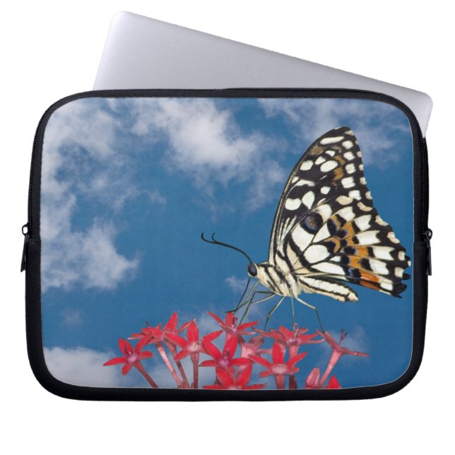 Capa Para Notebook Bela Borboleta (Frente)