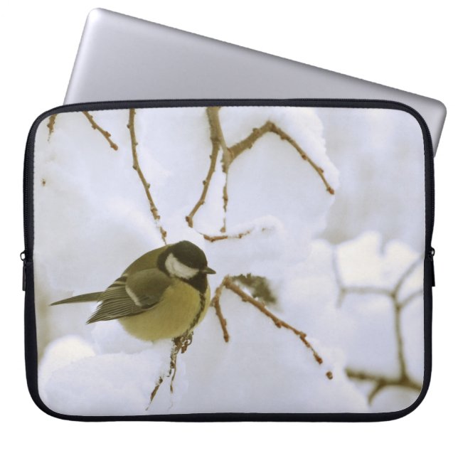 Capa Para Notebook Bird Winter Photo Neoprene Bolsa de laptop 15" (Frente)
