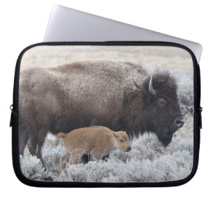 Capa Para Notebook Bisão Vaca e Bezerro, Yellowstone